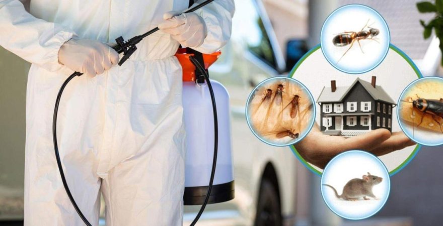 Demirci Böcek İlaçlama