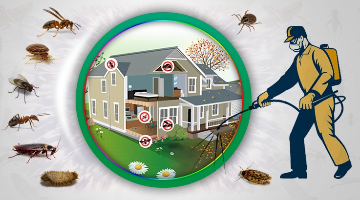 Demirci Böcek İlaçlama