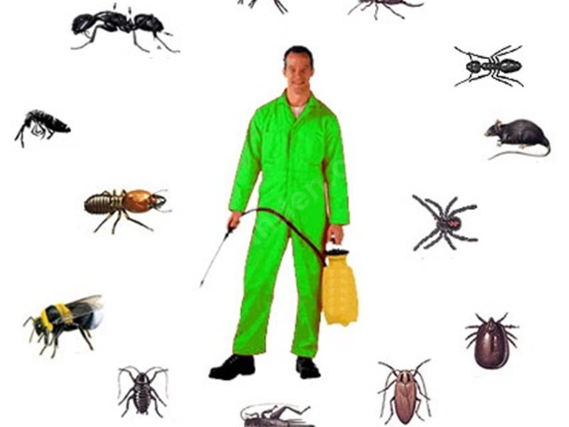 Demirci Böcek İlaçlama